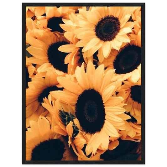Gelato Print Material 45x60 cm / 18x24″ Van Gogh Tableau Tournesol