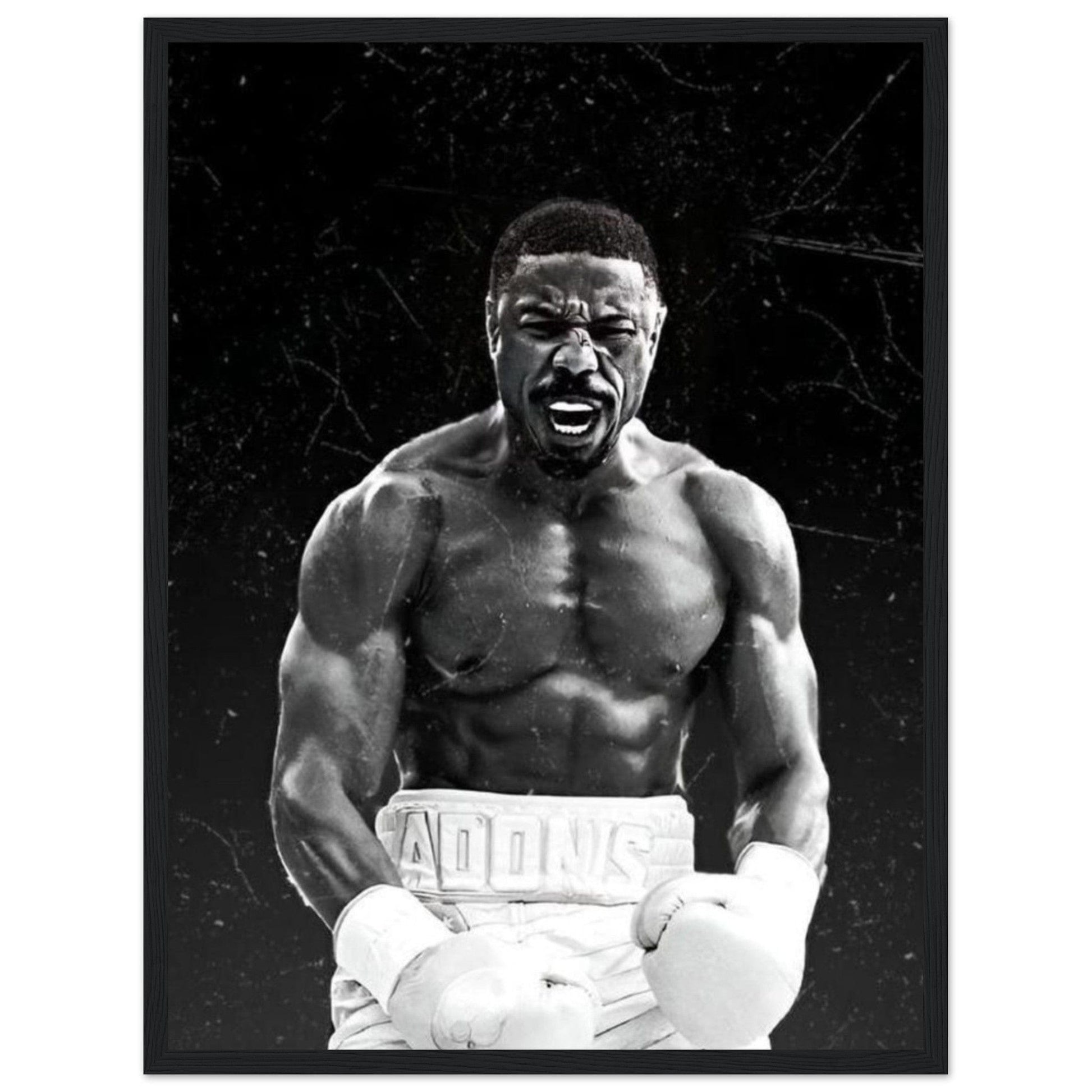 Canvanation Print Material Tableau Boxe