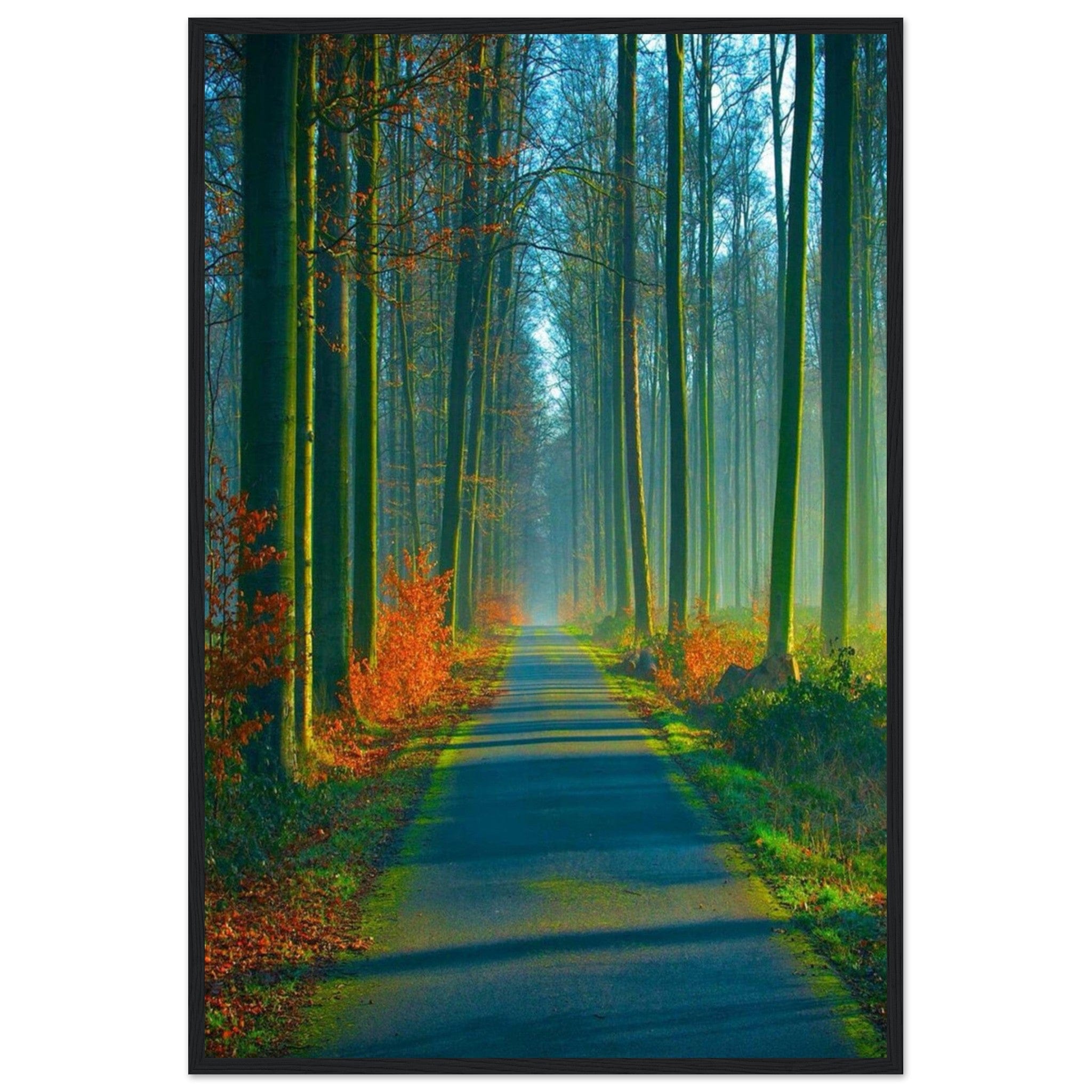 Canvanation Print Material 60x90 cm / 24x36″ Peinture Forêt