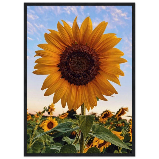 Gelato Print Material 50x70 cm / 20x28″ Tournesol Peinture Van Gogh