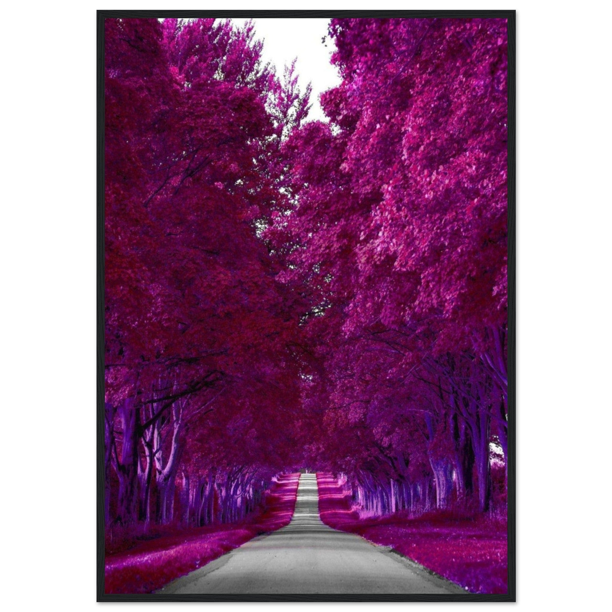 Canvanation Print Material 70x100 cm / 28x40″ Toile Forêt