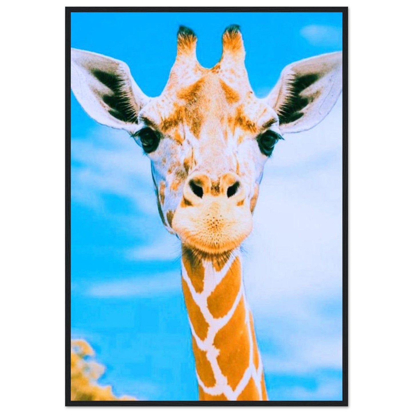 Gelato Print Material 70x100 cm / 28x40″ Tableau Girafe Avec Cadre