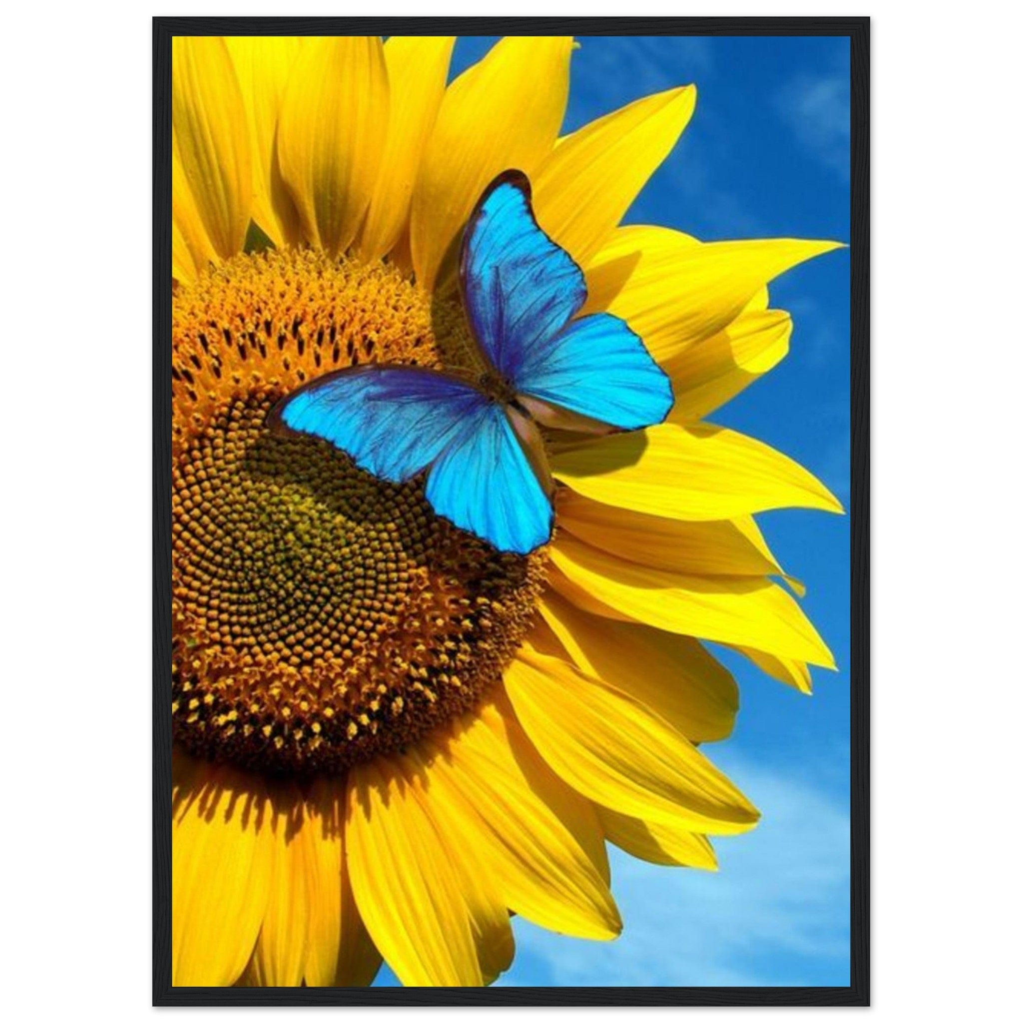Gelato Print Material 50x70 cm / 20x28″ Tableau Tournesol Monet