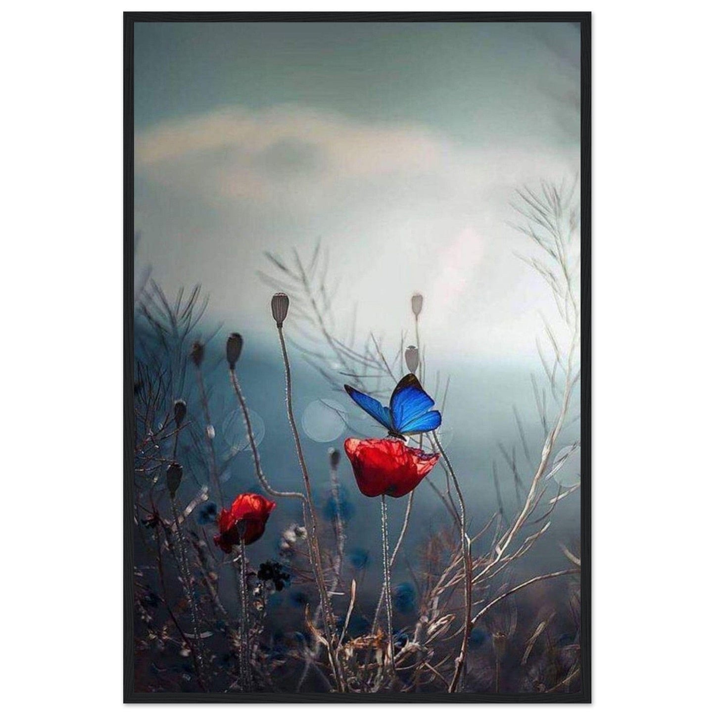 Canvanation Print Material Tableau Coquelicot Moderne