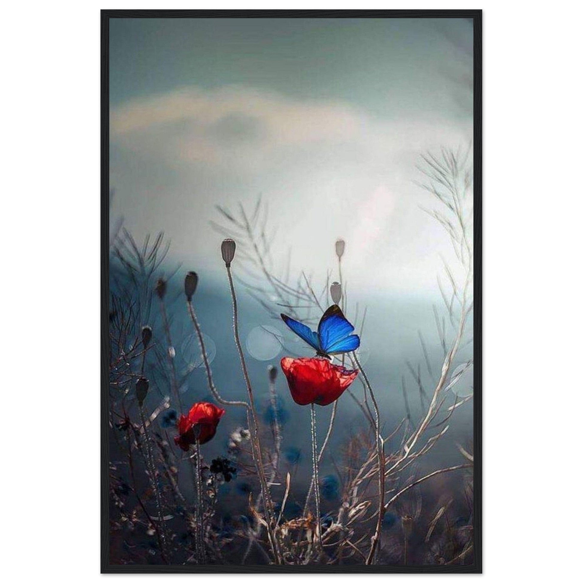 Canvanation Print Material Tableau Coquelicot Moderne