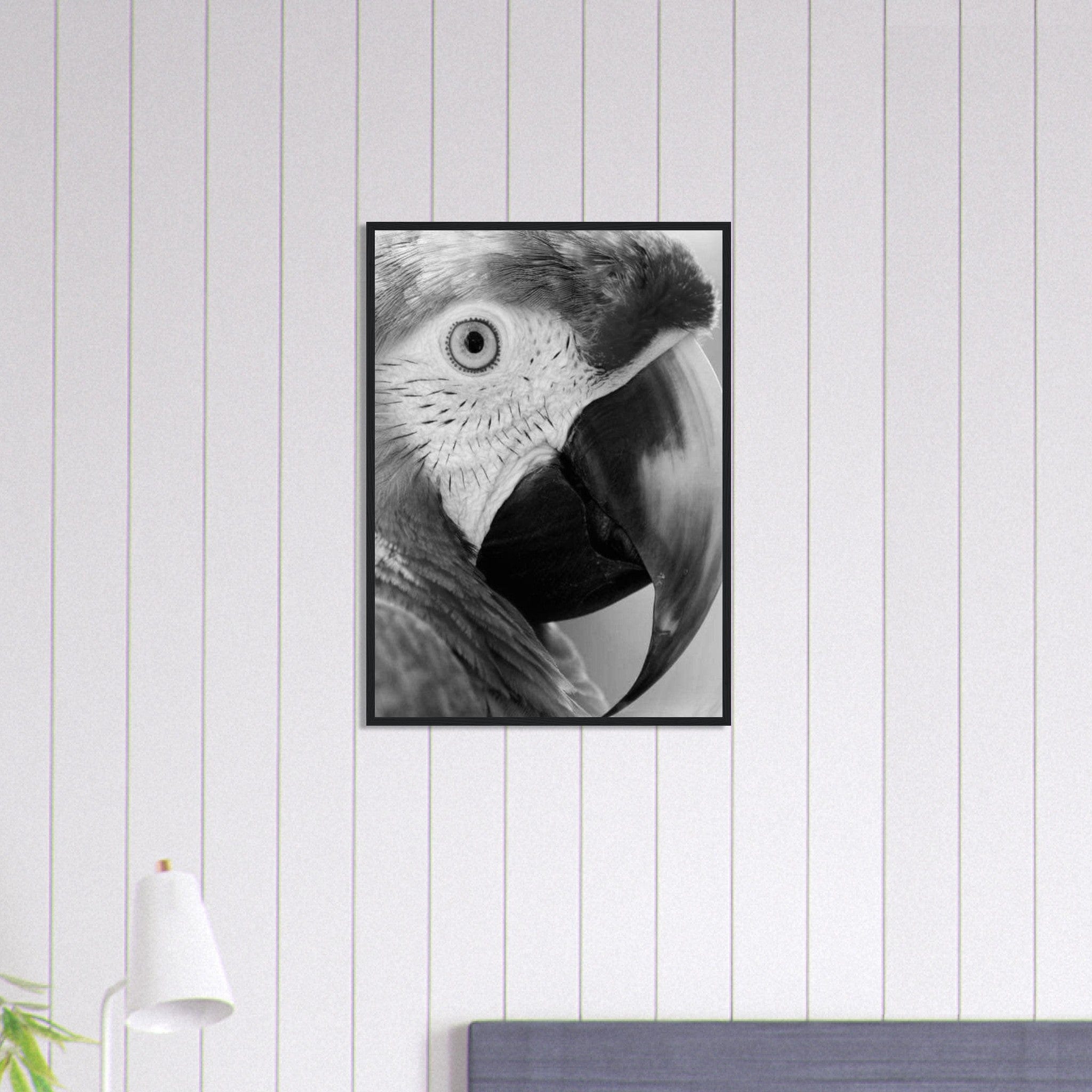 Canvanation Print Material 50x70 cm / 20x28″ Tableau Photo Noir Et Blanc-Animaux-Perroquet