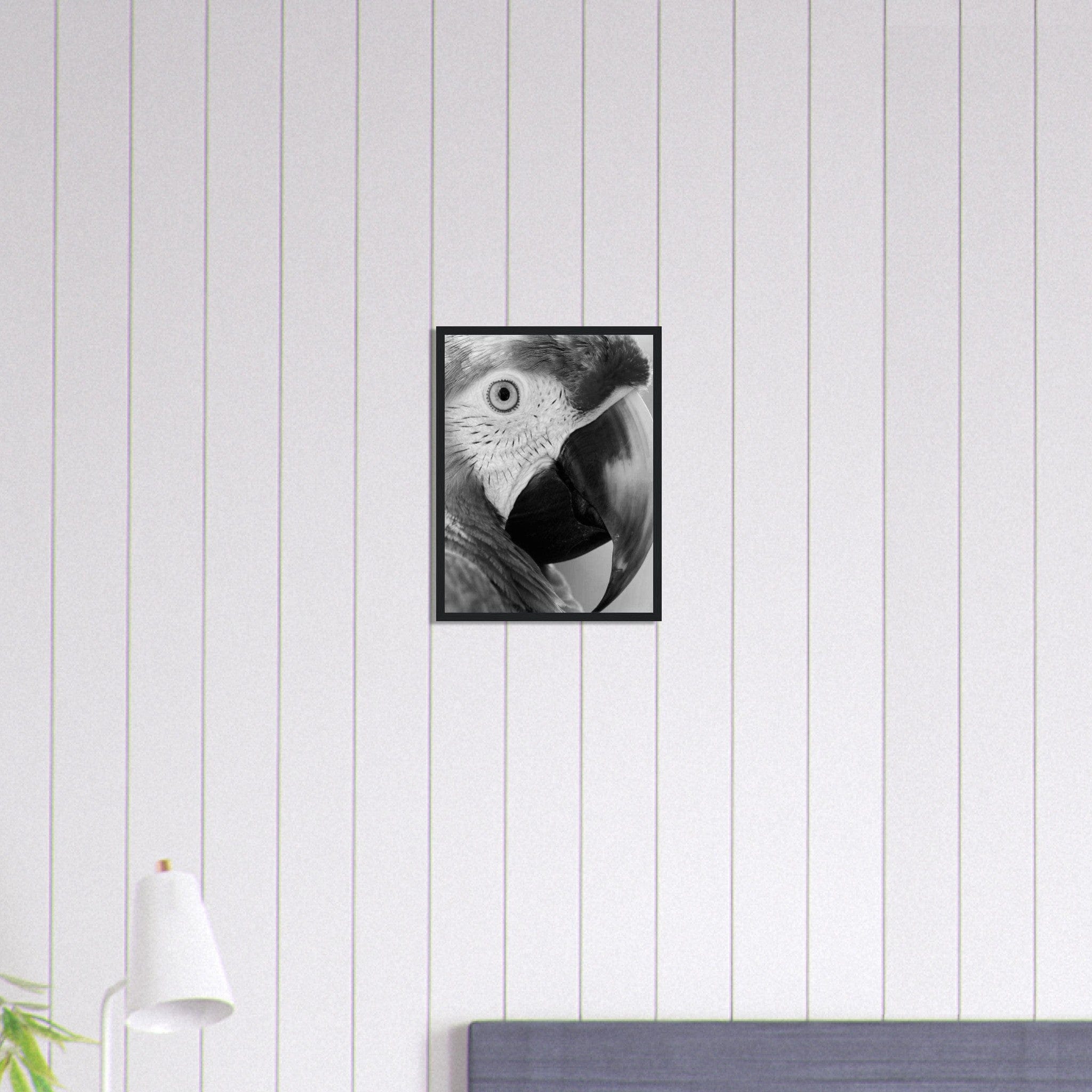 Canvanation Print Material 30x40 cm / 12x16″ Tableau Photo Noir Et Blanc-Animaux-Perroquet