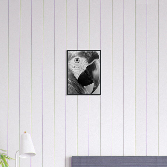 Canvanation Print Material 30x40 cm / 12x16″ Tableau Photo Noir Et Blanc-Animaux-Perroquet
