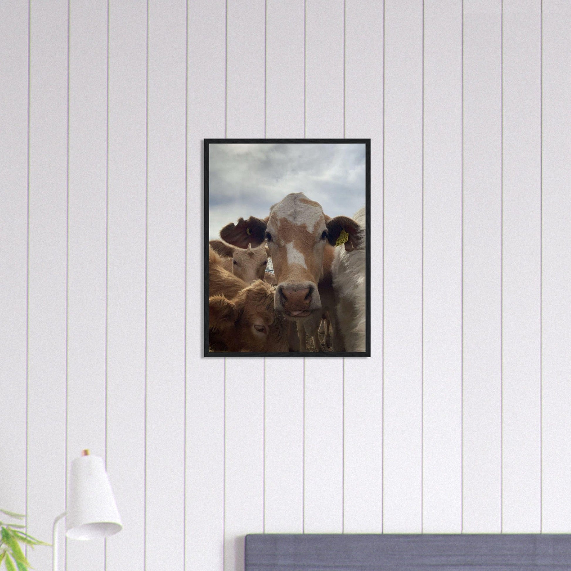 Canvanation Print Material Tableau Vache Dans Les Prés