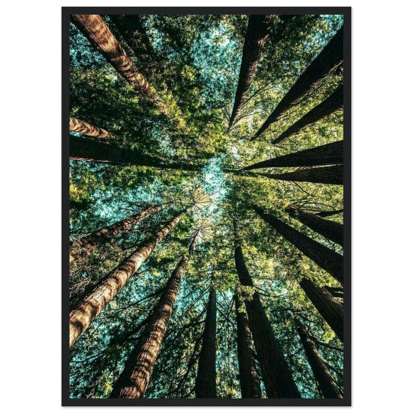 Canvanation Print Material 50x70 cm / 20x28″ Tableau Forêt