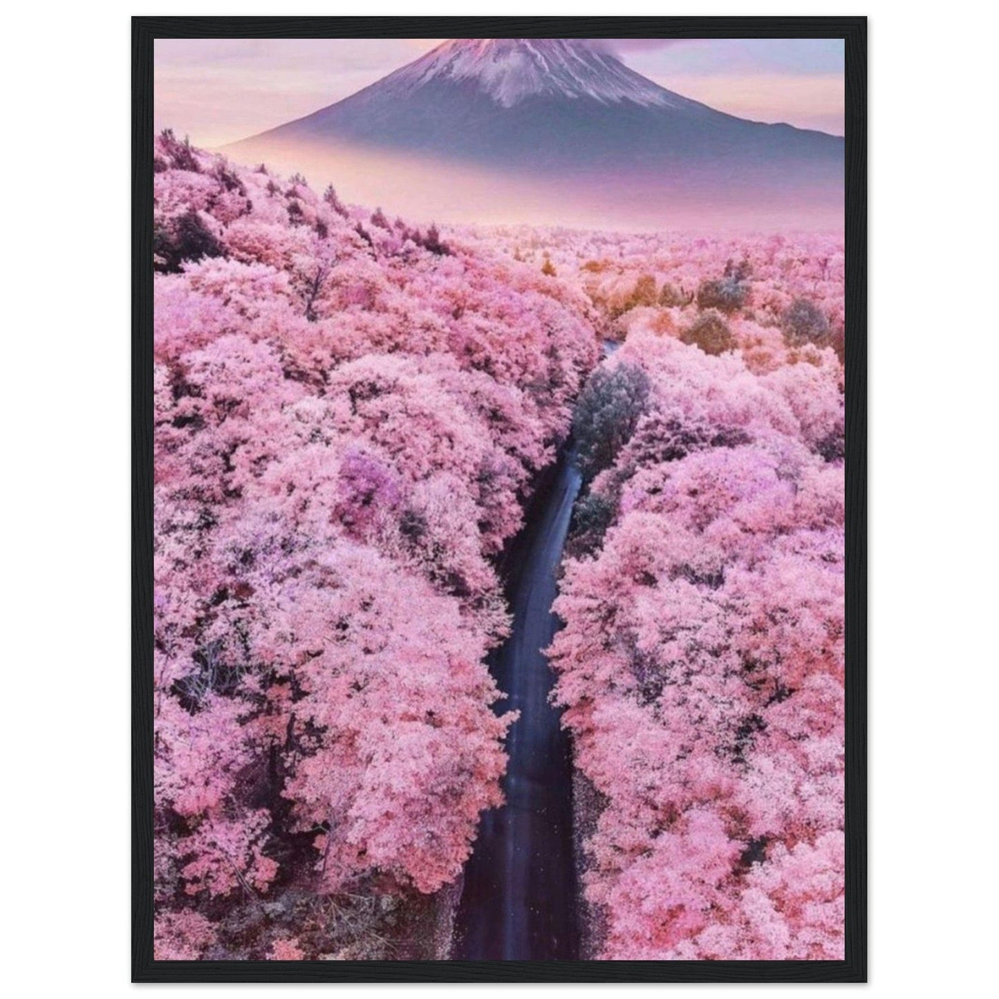 Canvanation Print Material Tableau Fleurs De Cerisier Arbre Japon
