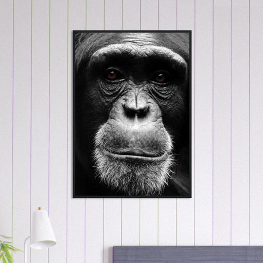 Canvanation Print Material 70x100 cm / 28x40″ Tableau Singe Noir et Blanc