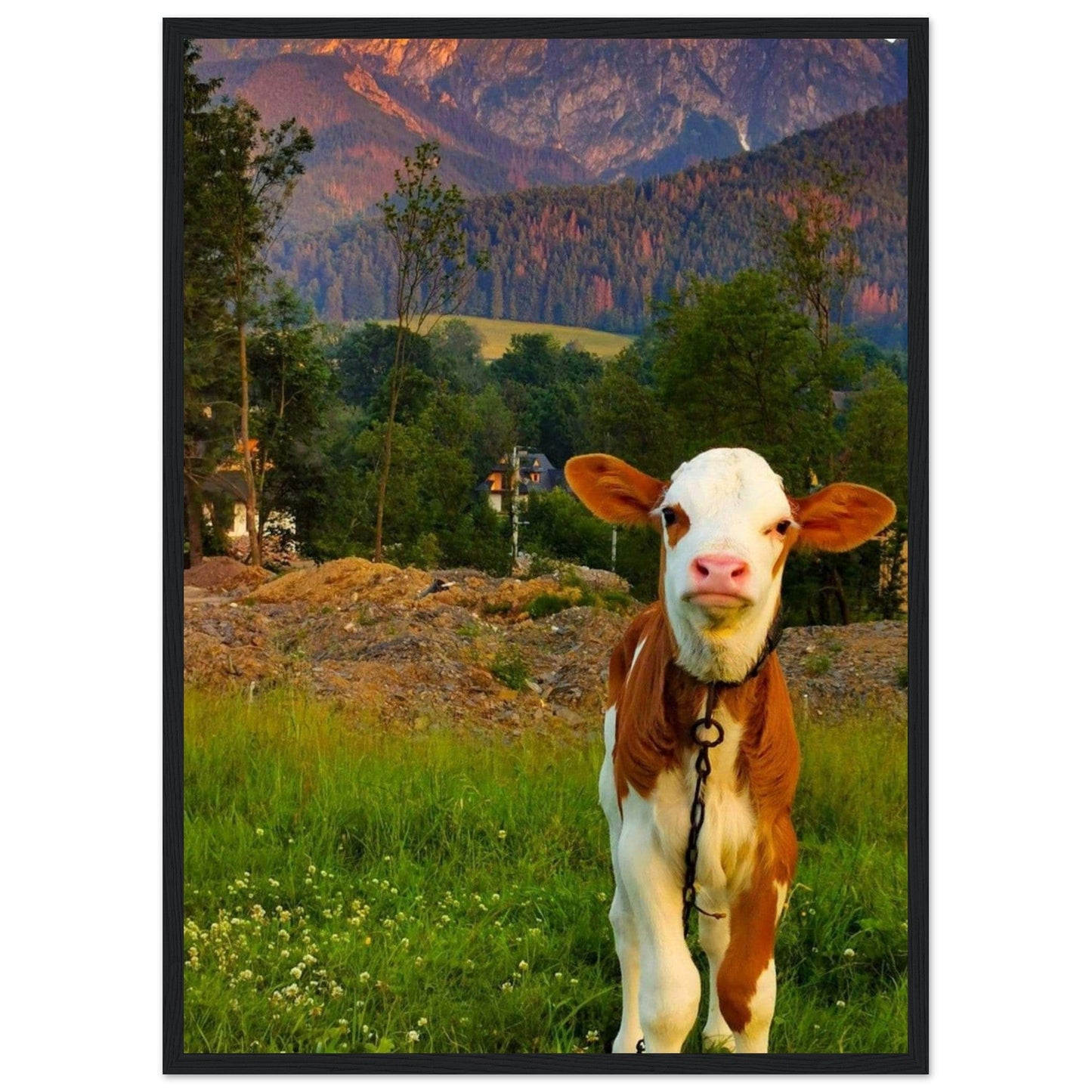 Canvanation Print Material 50x70 cm / 20x28″ Tableau De Vache Moderne