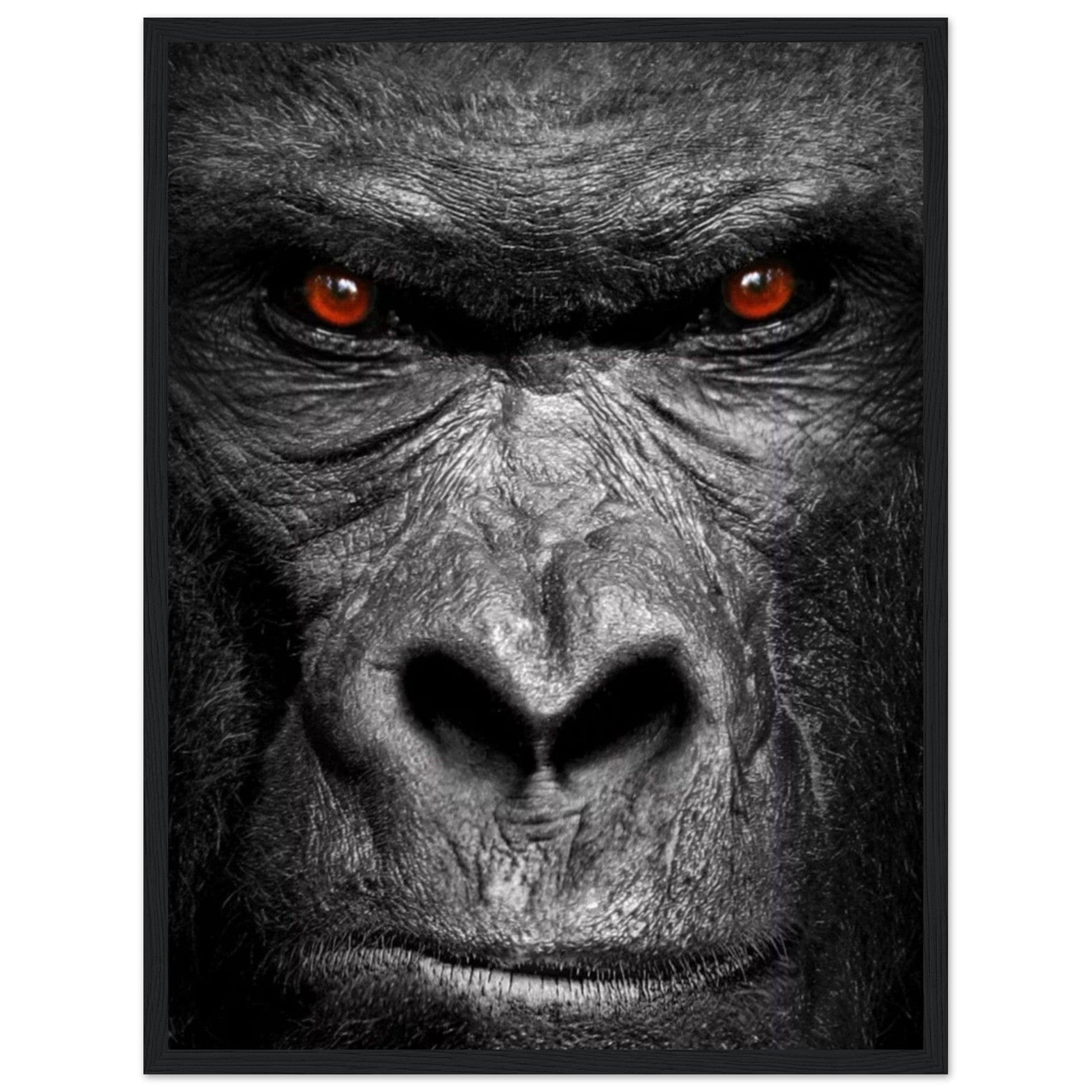 Canvanation Print Material 45x60 cm / 18x24″ Cadre Gorille Noir