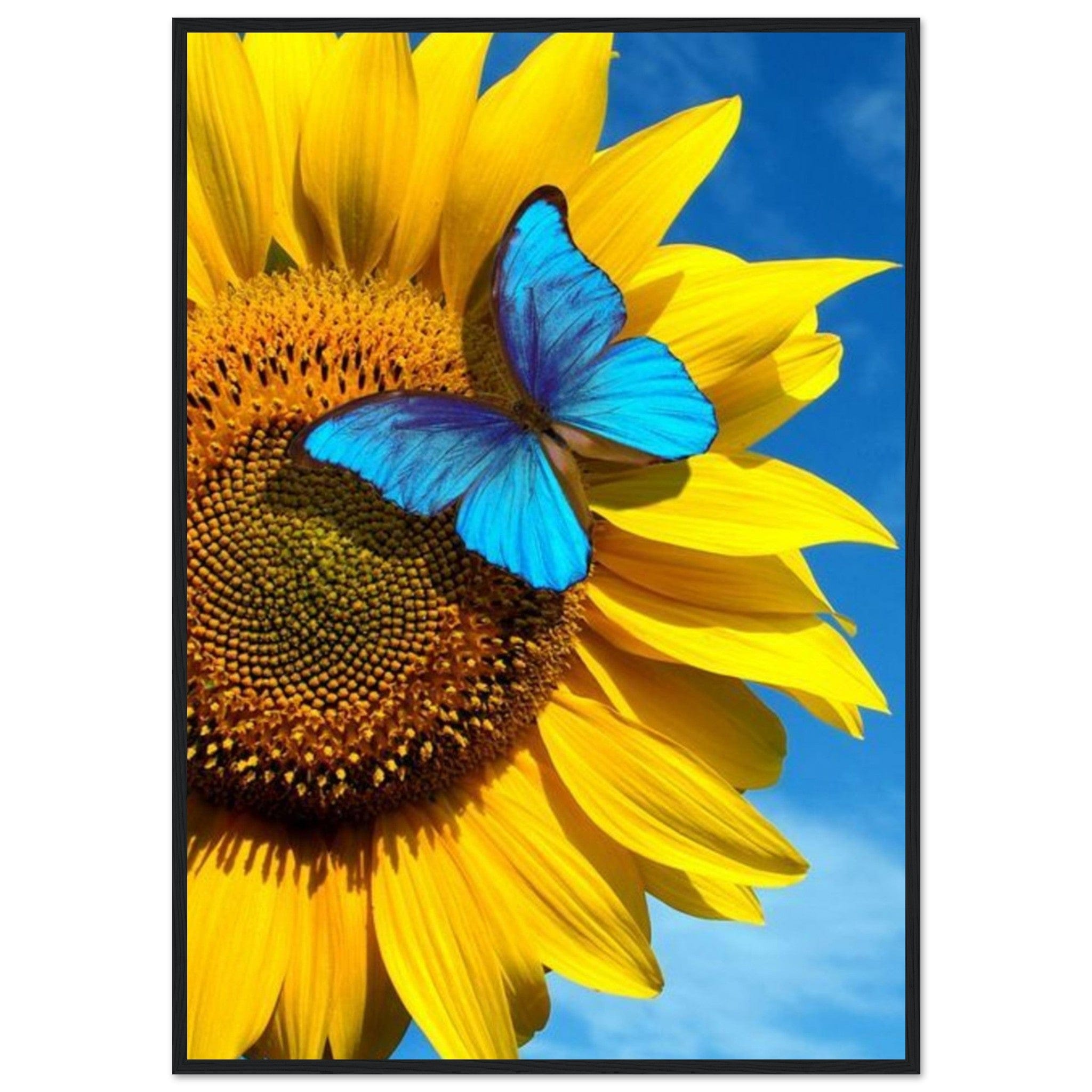 Gelato Print Material 70x100 cm / 28x40″ Tableau Tournesol Monet