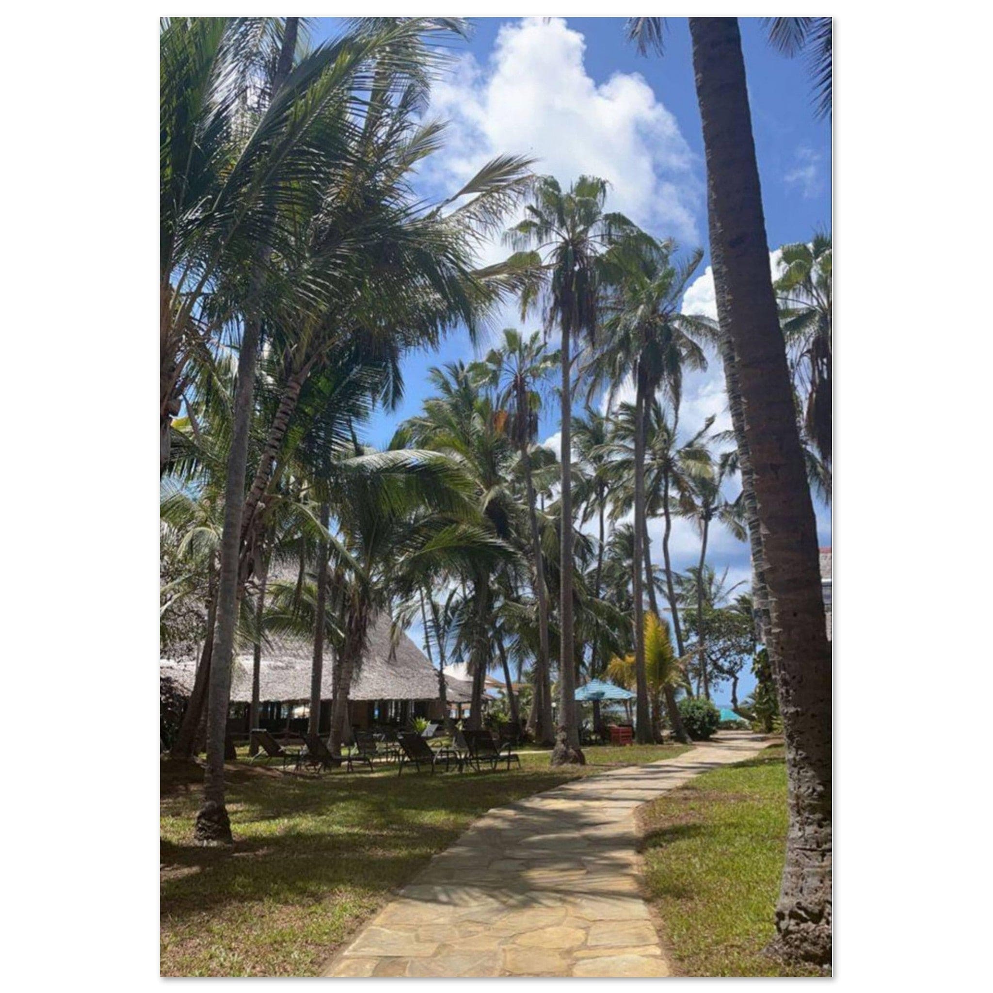 Gelato Print Material 70x100 cm / 28x40″ Affiche Africain Plage Tanzanie