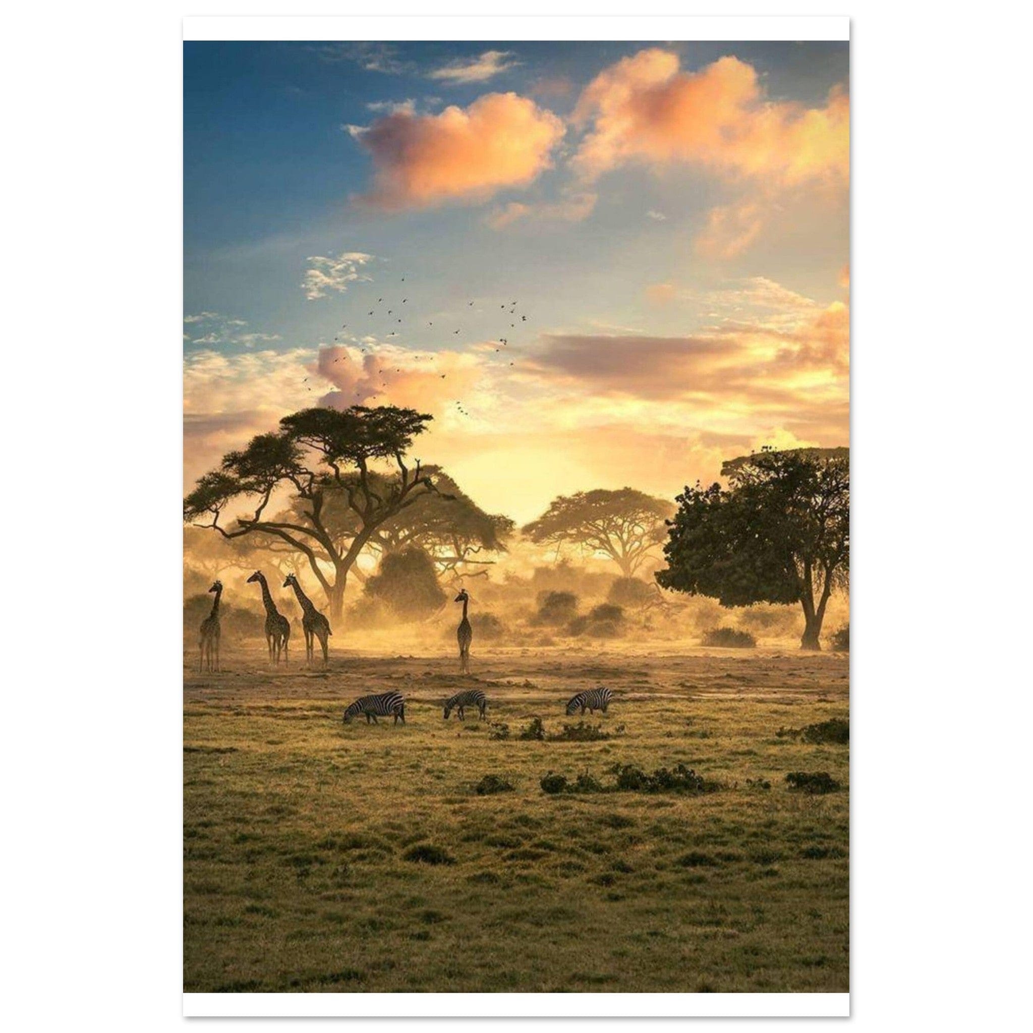 Gelato Print Material 60x90 cm / 24x36″ Affiche Africain Zimbabwe