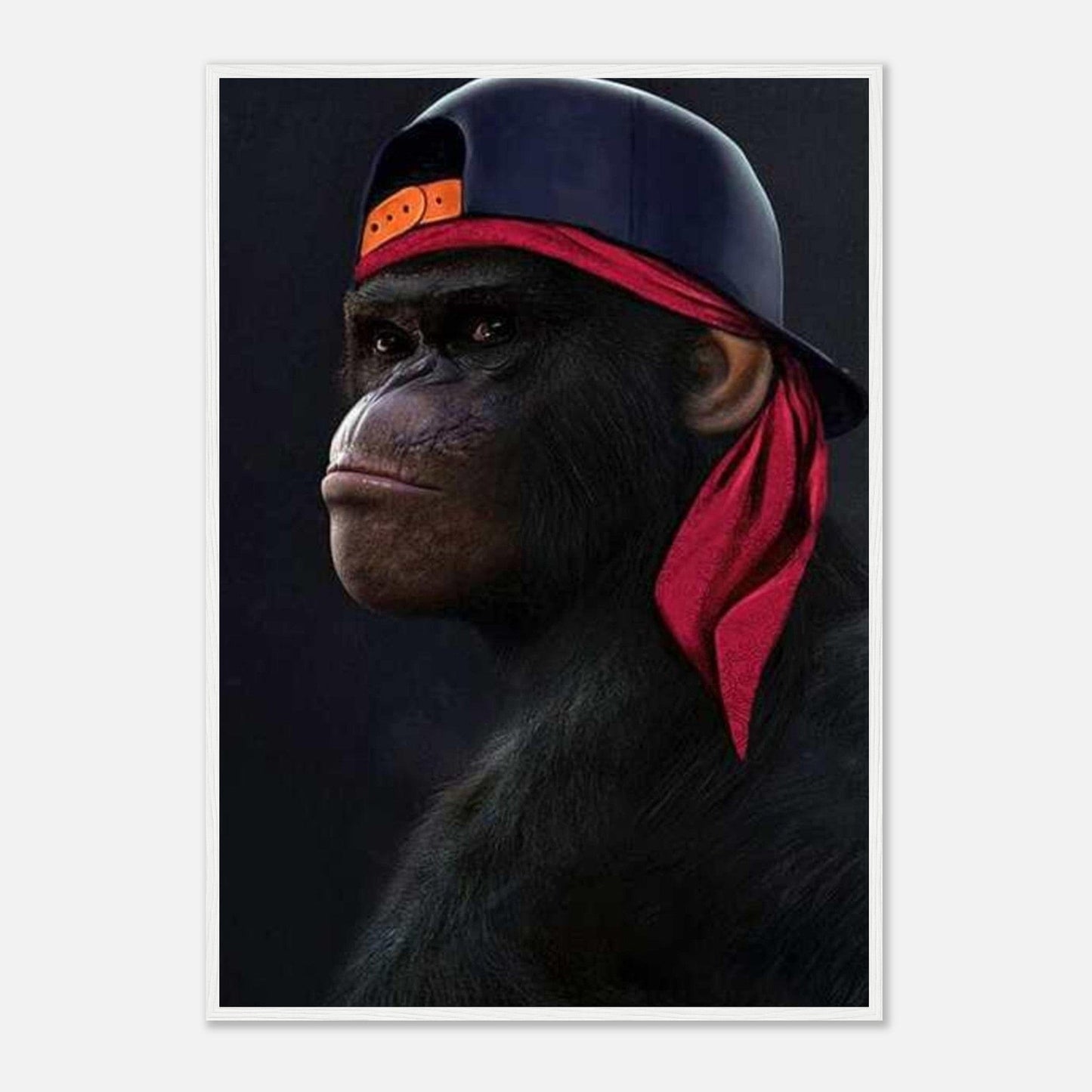 Canvanation Print Material 3 / Cadre blanc / 70x100 cm / 28x40″ Tableau 3 singes