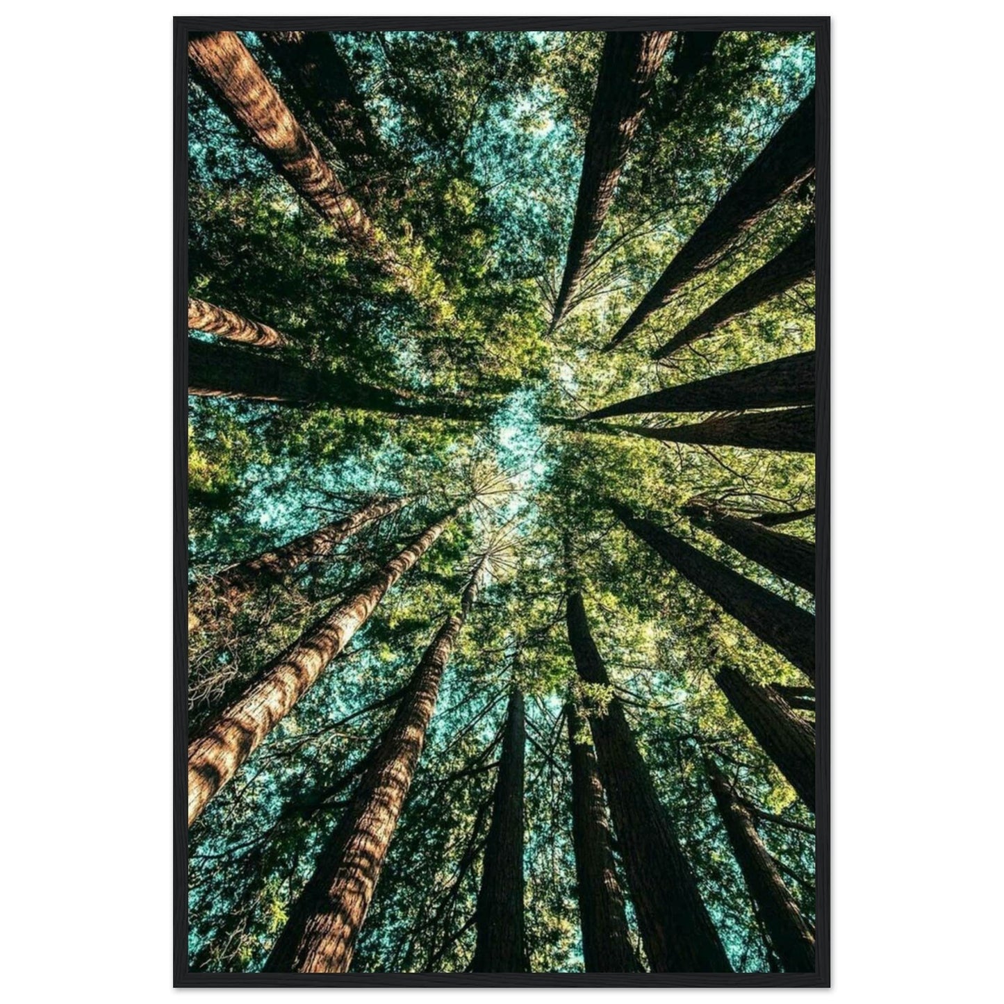 Canvanation Print Material 60x90 cm / 24x36″ Tableau Forêt