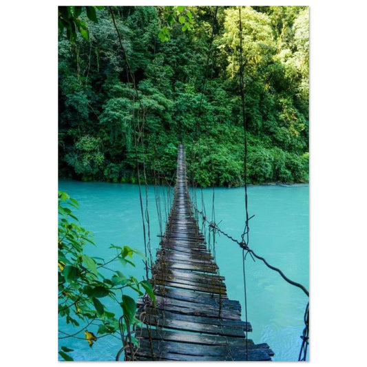 Gelato Print Material A1 (59.4 x 84.1  cm) Affiche Jungle Pont