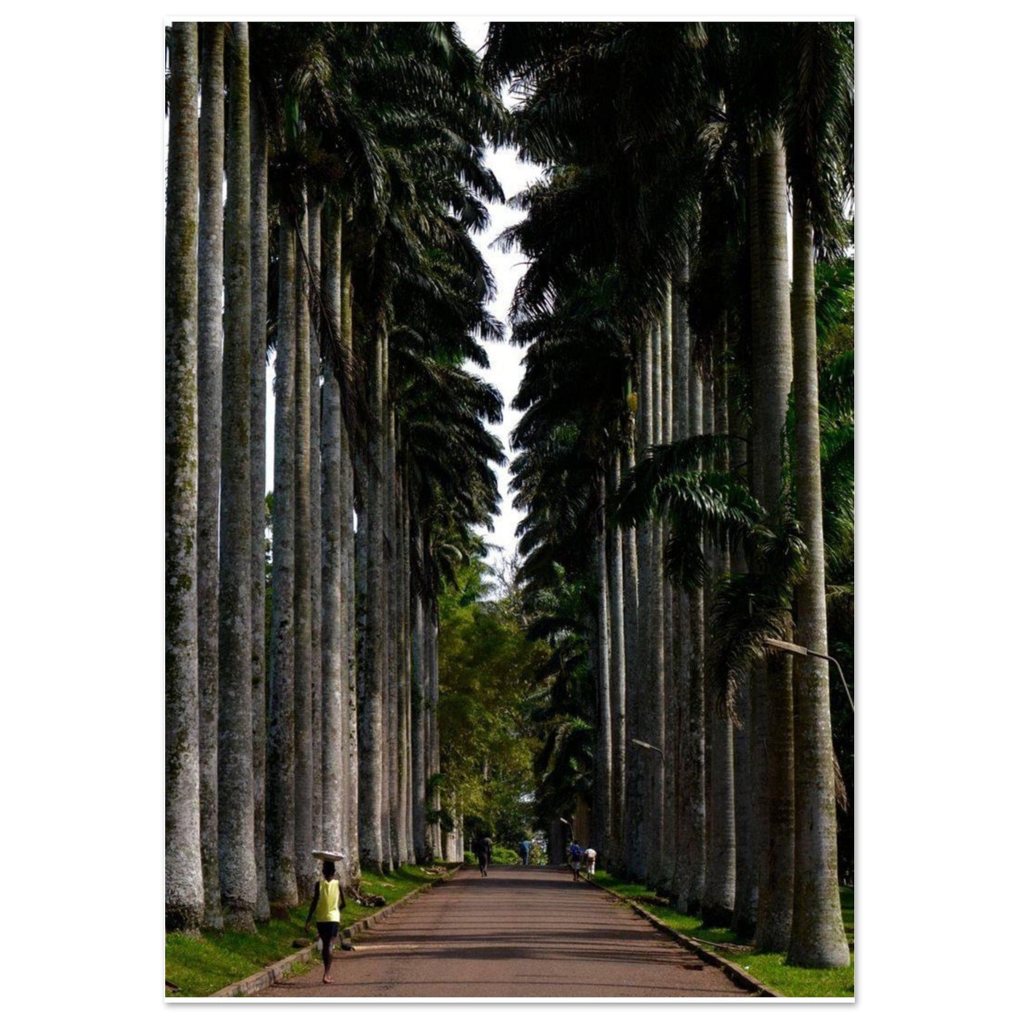 Gelato Print Material 70x100 cm / 28x40″ Affiche Africain