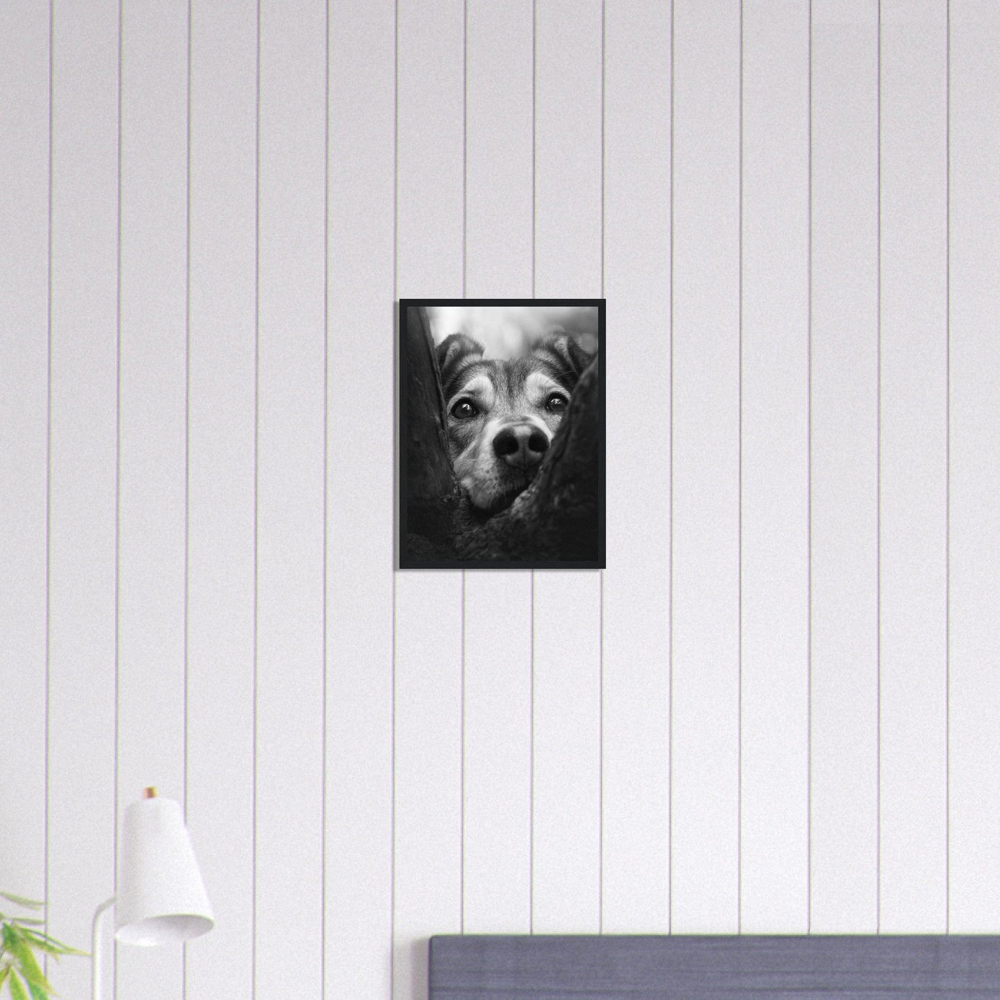 Canvanation Print Material 30x40 cm / 12x16″ Tableau Photo Noir Et Blanc-Animaux-Chien