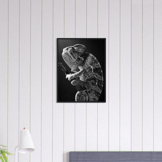 Canvanation Print Material 45x60 cm / 18x24″ Tableau Photo Noir Et Blanc-Animaux-Caméléon
