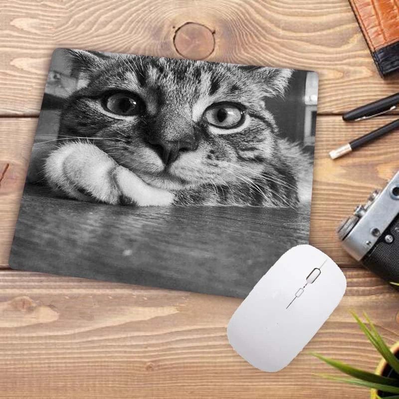 Canvanation 5 / 22x18 cm Tapis De Souris - Chat 22X18CM