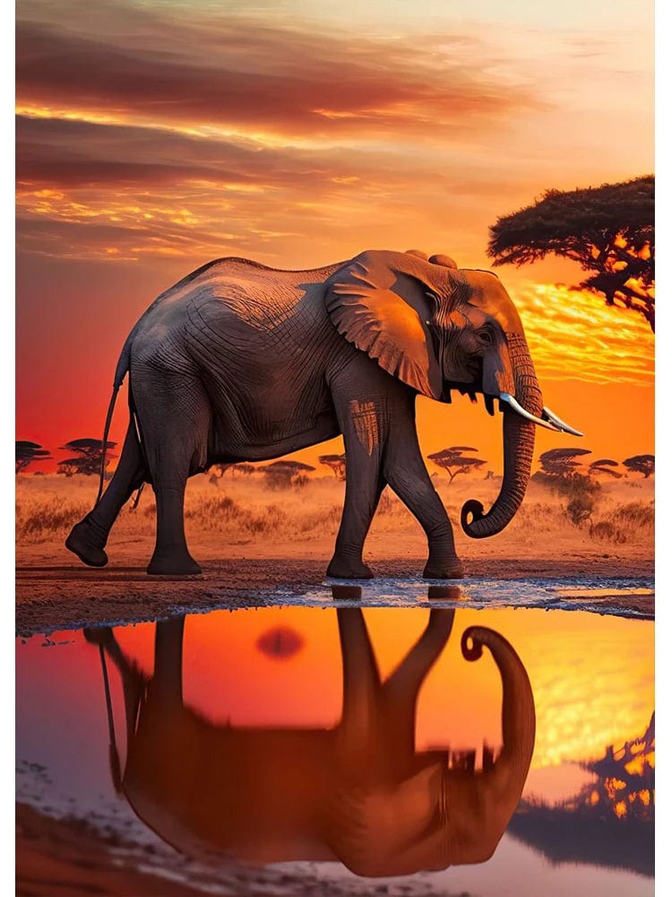 Canvanation N / 50x70cm Affiche Abstrait Elephant Coucher De Soleil