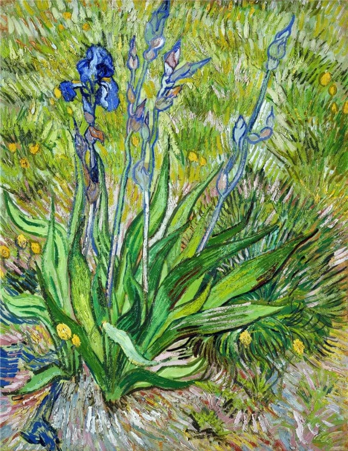 Canvanation GS675 / 30x40cm Affiche Salon Van Gogh