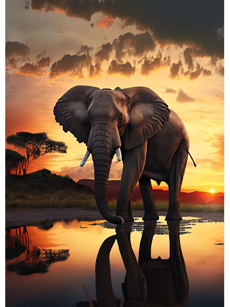 Canvanation K / 50x70cm Affiche Abstrait Elephant Coucher De Soleil