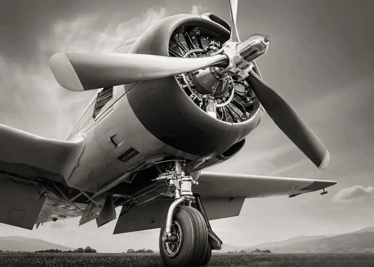 Canvanation 3 / 50x70cm Affiche Poster Avion Vintage
