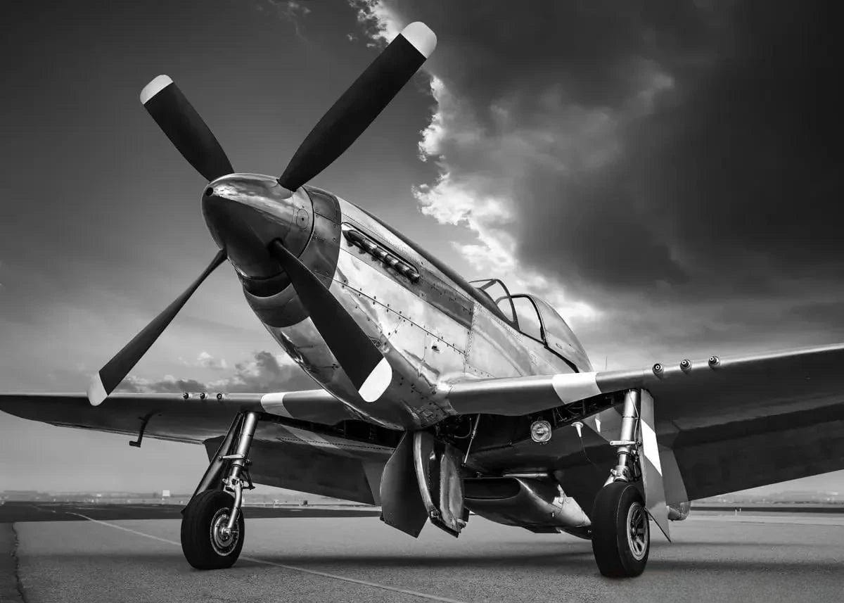 Canvanation PF30989 / 55x80cm Affiche Poster Avion Vintage