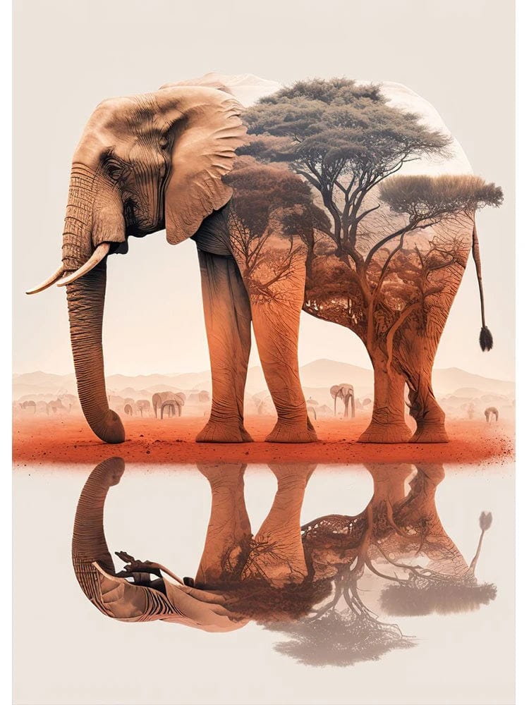 Canvanation L / 50x70cm Affiche Abstrait Elephant Coucher De Soleil