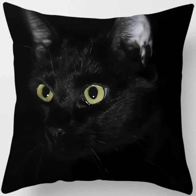Canvanation 4 / 45x45cm Coussin Canapé Chat - Confort et Douceur Assurés
