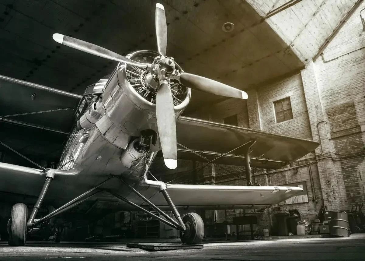Canvanation PF 29137 / 50x70cm Affiche Poster Avion Vintage