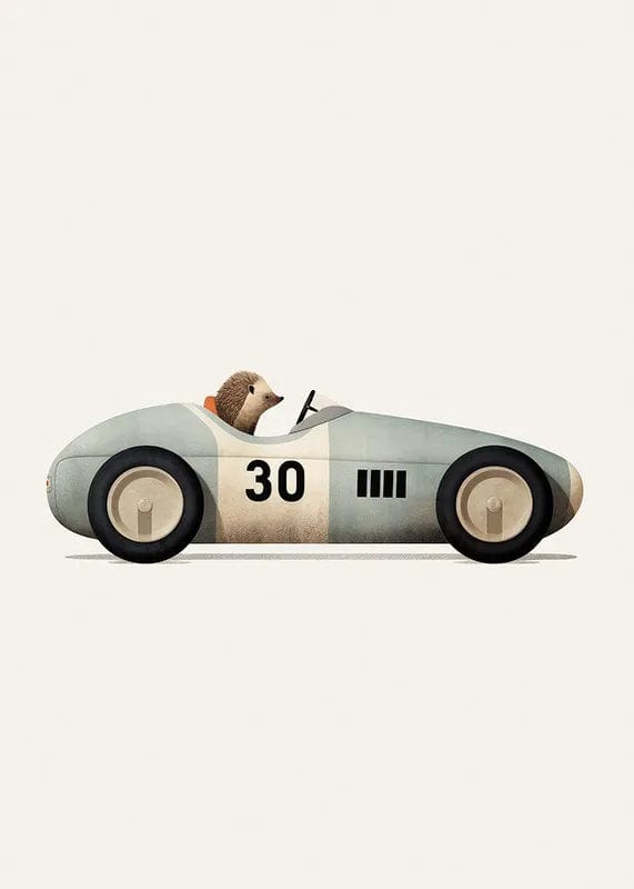 Canvanation D / 30x40cm Affiche Voiture Drôle Anime Animaux