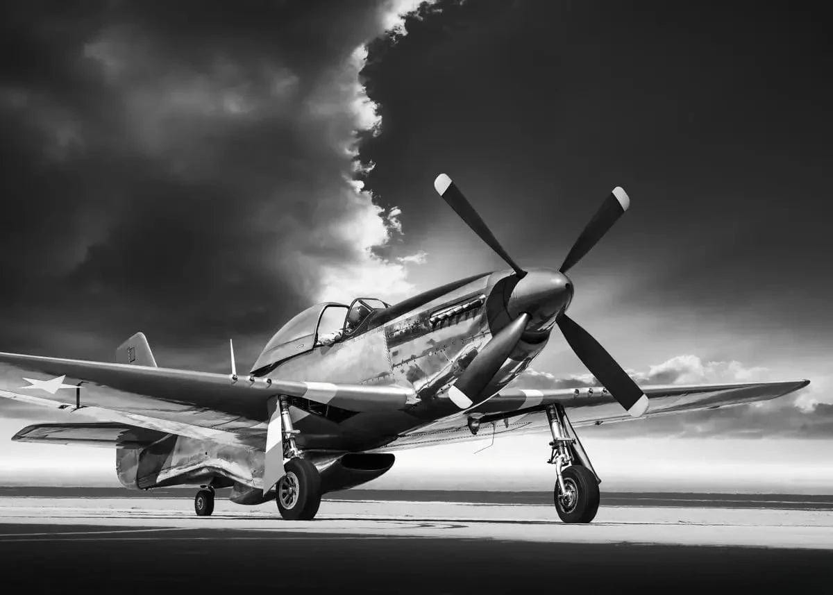 Canvanation PF29901 / 55x80cm Affiche Poster Avion Vintage