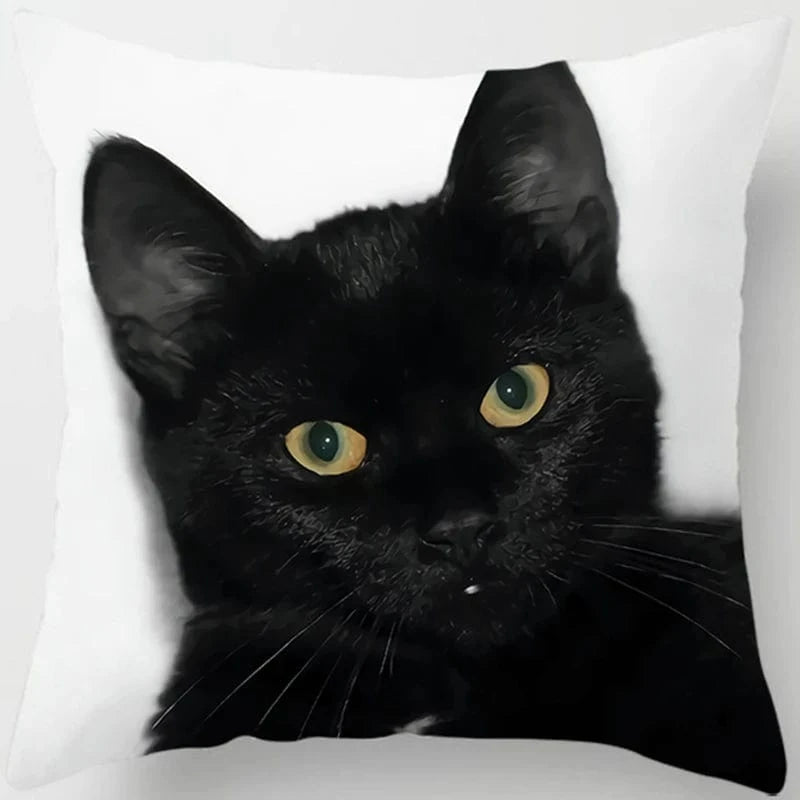 Canvanation 2 / 45x45cm Coussin Canapé Chat - Confort et Douceur Assurés