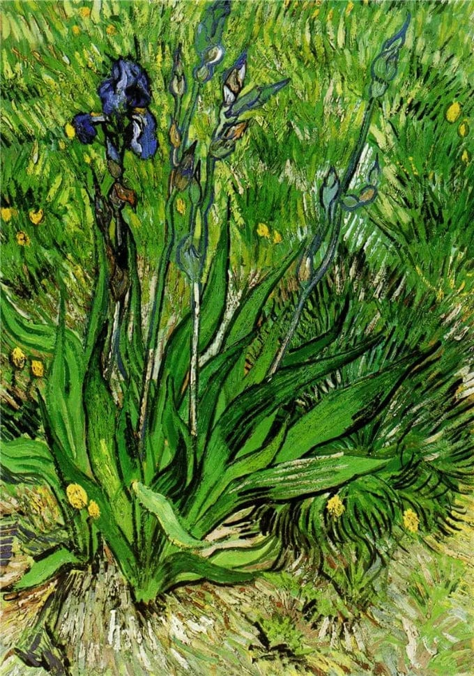 Canvanation GS670 / 30x40cm Affiche Van Gogh Peinture Moderne