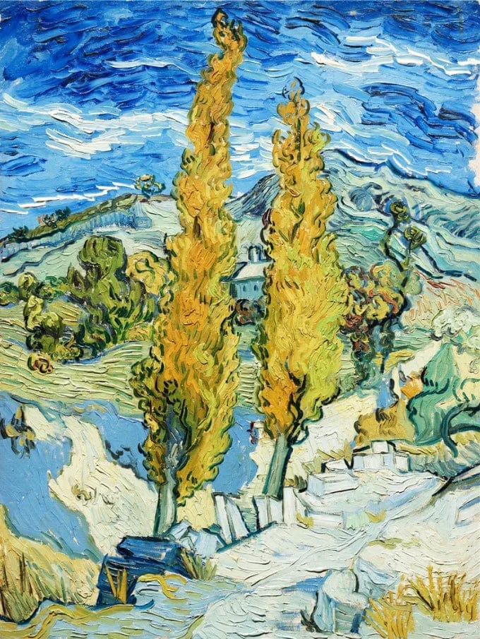 Canvanation VG296 / 30x40cm Affiche Van Gogh Peinture Abstraite Moderne