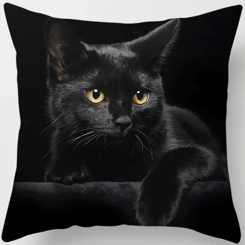 Canvanation 1 / 45x45cm Coussin Canapé Chat - Confort et Douceur Assurés