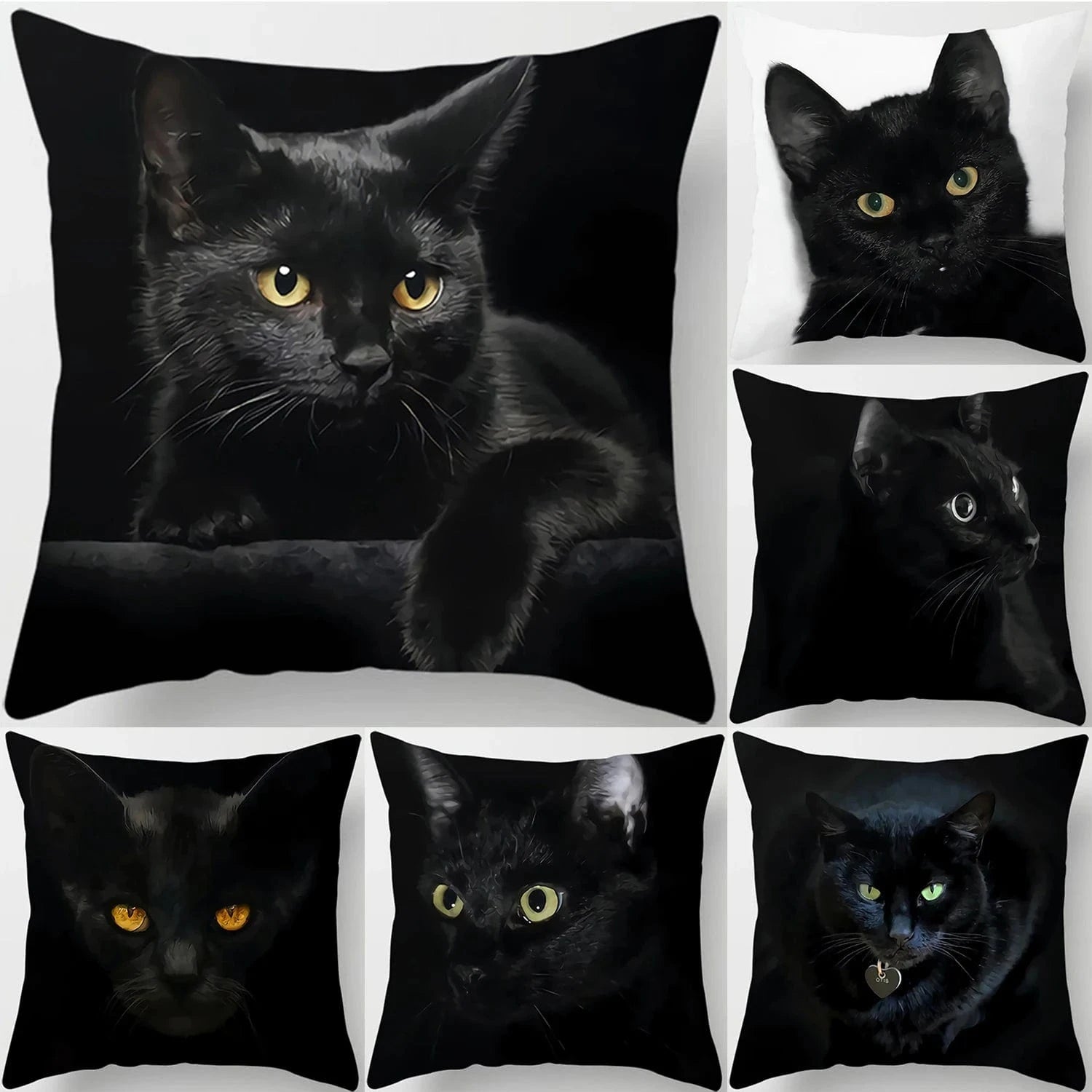 Canvanation Coussin Canapé Chat - Confort et Douceur Assurés