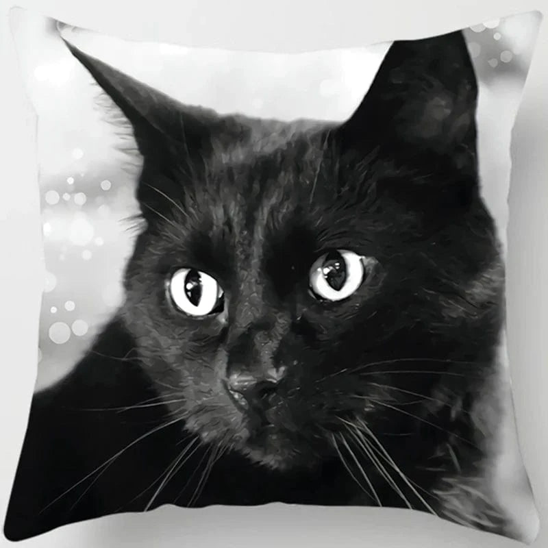 Canvanation 5 / 45x45cm Coussin Canapé Chat - Confort et Douceur Assurés