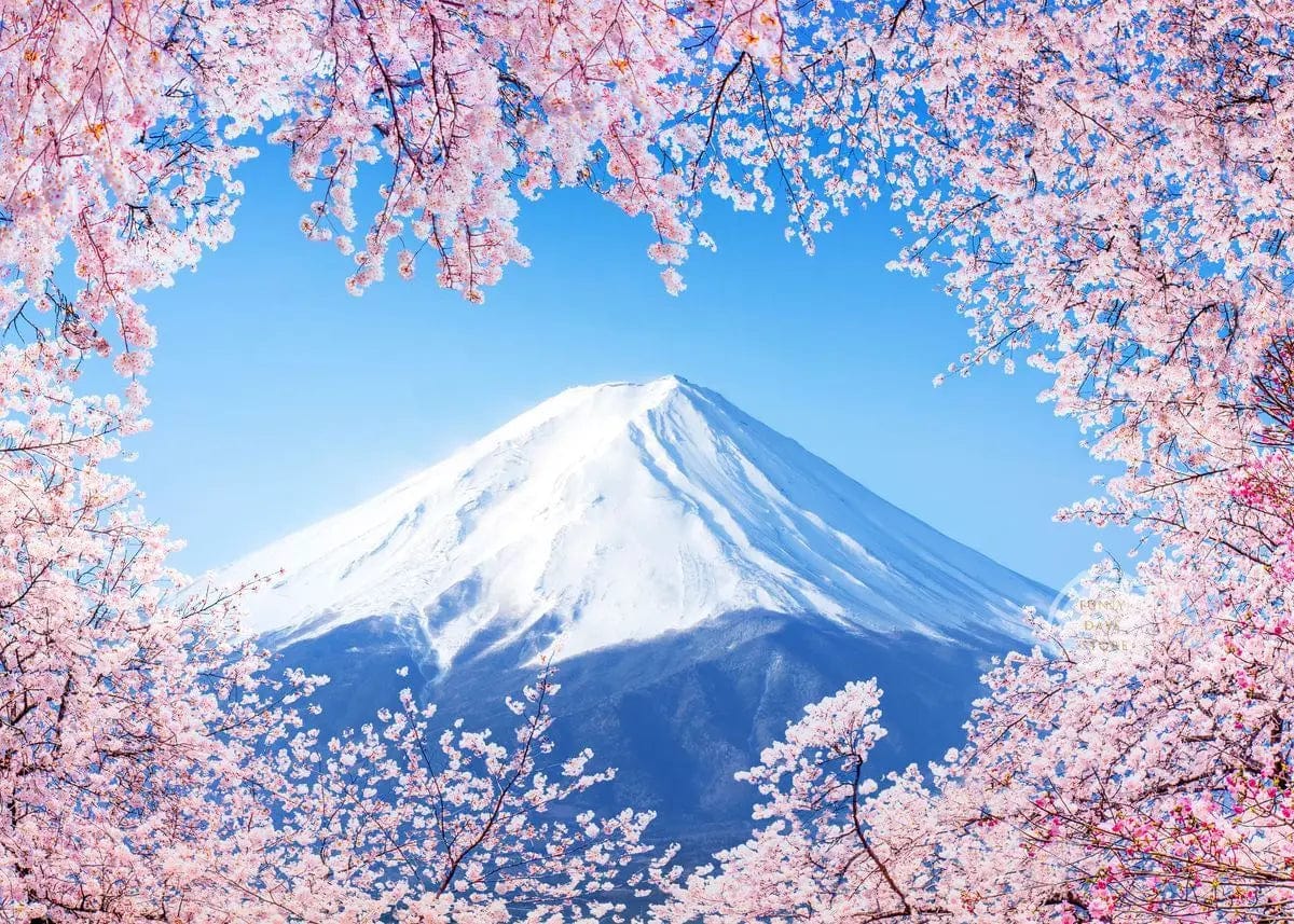 Canvanation 50X70cm / 11 Affiche Japonais Cerisiers En Fleurs Sakura Temple Japon Paysages Mont Fuji