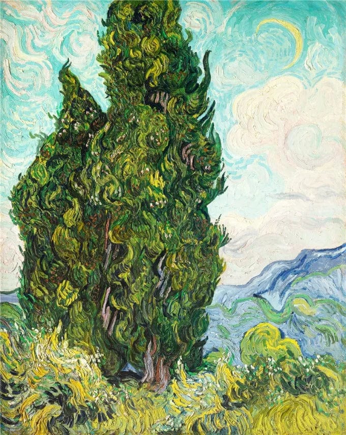Canvanation VG319 / 30x40cm Affiche Van Gogh Peinture Abstraite Moderne