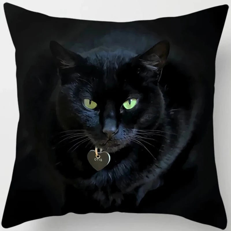 Canvanation 7 / 45x45cm Coussin Canapé Chat - Confort et Douceur Assurés