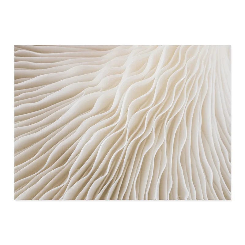 Canvanation PICTURE G / 40x60 cm Affiche Boho Abstrait Matisse Beige Blanc