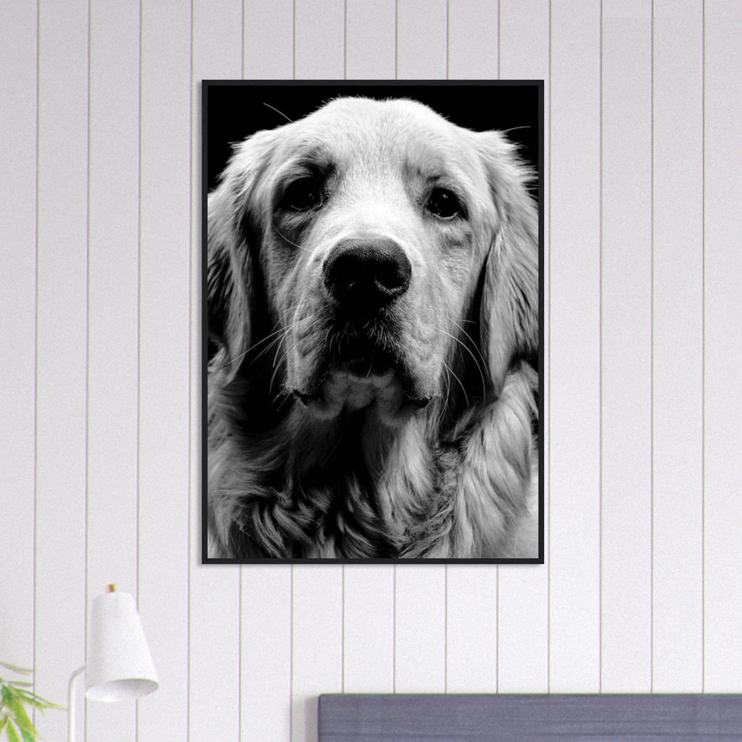 Canvanation Print Material 70x100 cm / 28x40″ Tableau Photo Noir Et Blanc-Animaux-Chien