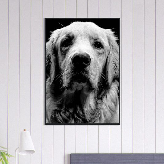 Canvanation Print Material 70x100 cm / 28x40″ Tableau Photo Noir Et Blanc-Animaux-Chien